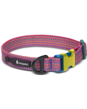Del Día Dog Collar